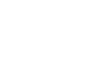 Pool Assist- George| Zodiac
